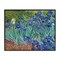 Stupell Industries Classic Van Gogh Irises Framed Giclee Wall Art Design by one1000paintings